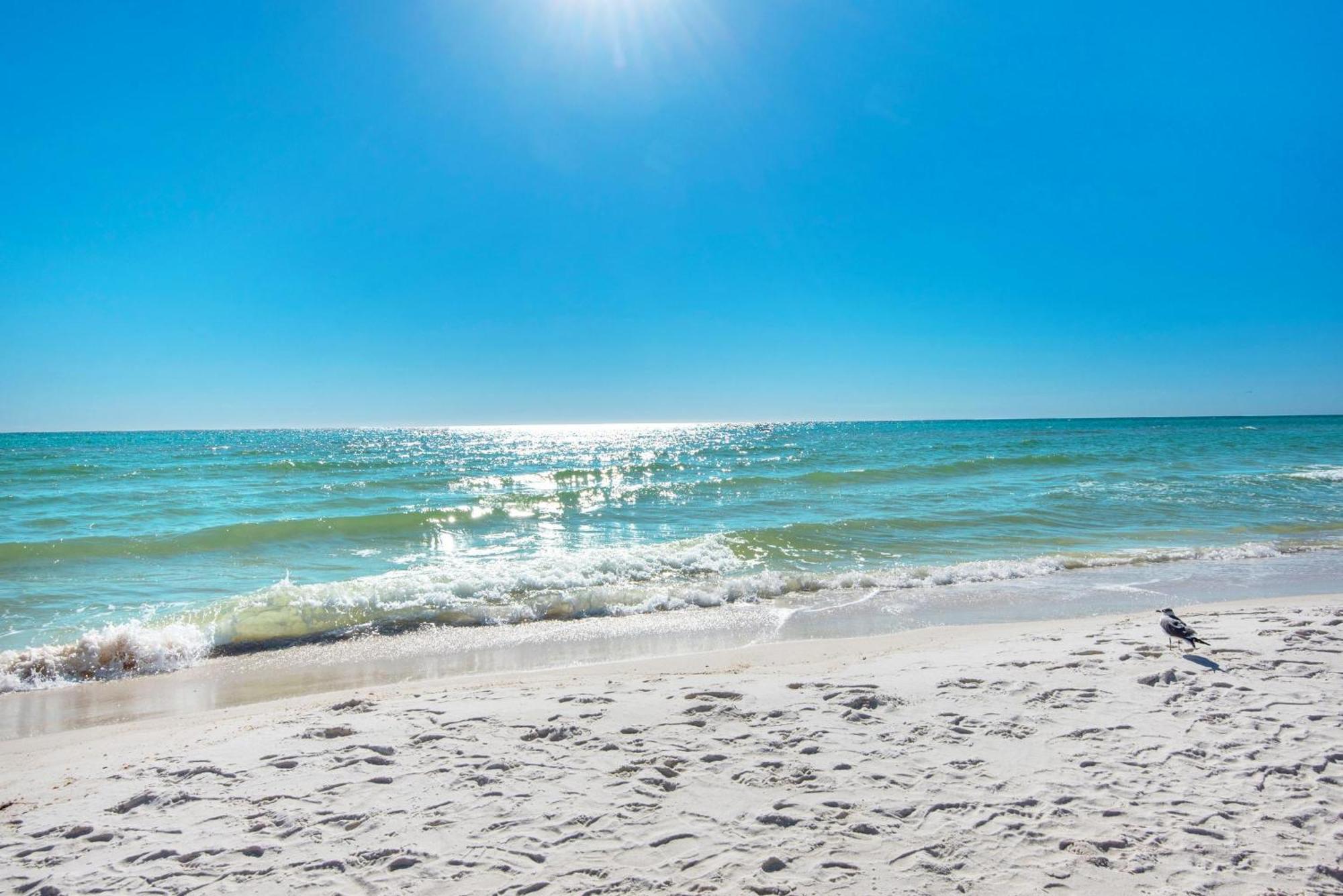 Shores Of Panama 1802 Panama City Beach Eksteriør billede